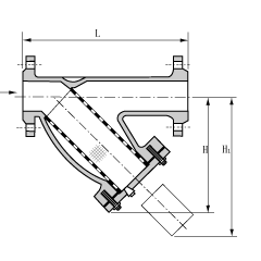 Y-strainer